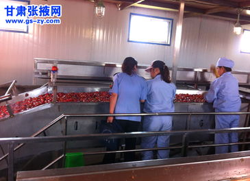 甘州区食药监管所强化食品生产与销售环节专项检查