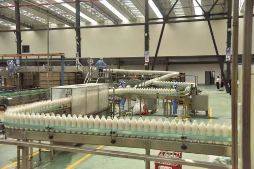 首届中国綦江食品工业高质量发展大会将于12月4日举行，聚焦食品销售新机遇