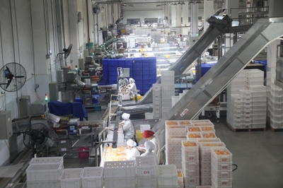 遂宁 以“智改数转”为传统产业“换芯”，驱动食品销售升级