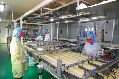 铆足干劲忙生产，产业发展势头足——透视现代食品生产的蓬勃气象