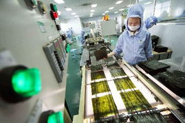 提质增效拓市场 我国企业加紧生产对日出口食品